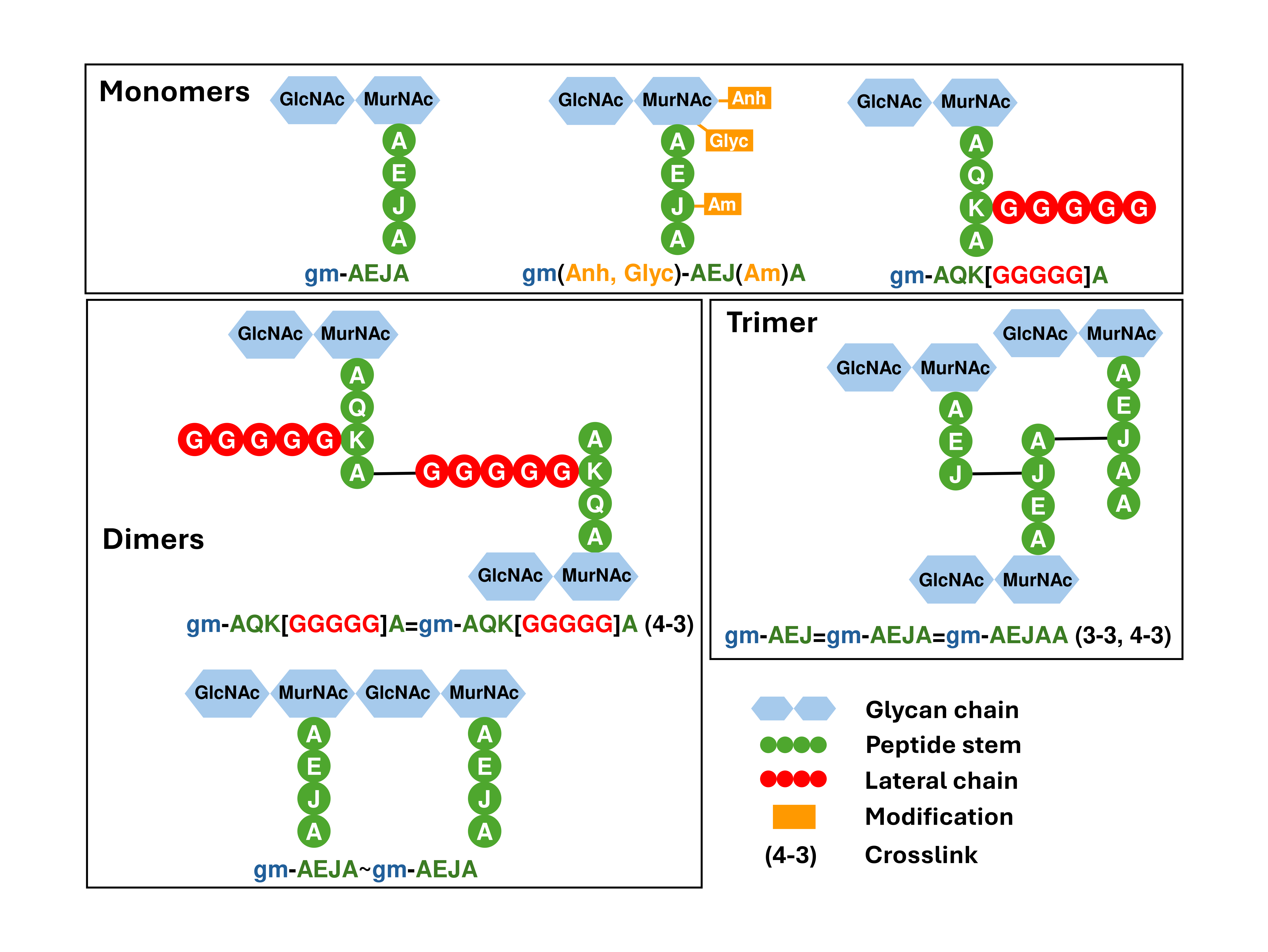 A set of example structures and their PGLang representations